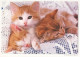 Delcampe - CHATS LOT DE 30 CARTES TOUTES SCANNEES - Katzen