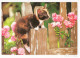 Delcampe - CHATS LOT DE 30 CARTES TOUTES SCANNEES - Cats