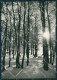 Rieti Terminillo Nevicata Foto FG Cartolina KB4087 - Rieti
