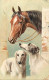 Themes Div-ref VV562-illustrateur Reichert - Cheval Et Chiens  ( Livraison Gratuite  ) - Perros