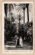 26415 / ⭐ Algerie Erreur Imprimerie Hotels TRANSALANTTIQUES - ALGER Jardin Essai Femmes Arabes 1910s LEVY NEURDEIN - Alger