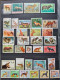 Delcampe - Collection De Timbres Sur Le Thème Des Animaux. - Collezioni (senza Album)