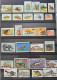 Delcampe - Collection De Timbres Sur Le Thème Des Animaux. - Collections (without Album)