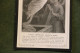 Image Mortuaire 1904 Madame Lettellier Née Goubert  -  Doodsprentje Bidprentje -  Ange Engel Angel - Obituary Notices