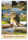 SCENES FROM DORSET, ENGLAND. UNUSED POSTCARD Mm3 - Other & Unclassified