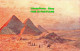R436045 Cairo. Pyramids. The Cairo Postcards Trust. Series 1. 8 - Welt