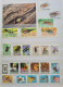 Delcampe - Collection De Timbres Sur Le Thème Des Insectes. - Collections (without Album)