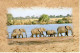 Carte Double World Children's Fund - éléphants - Olifanten