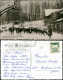 Ansichtskarte Bad Harzburg Molkenhaus, Rehe Im Winter 1962 - Bad Harzburg
