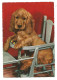COCKER SPANIEL PUPPY In A BABY CHAIR - Perros