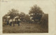 Carte Photo Baulon Scène De Moisson - Other & Unclassified