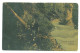 RO 79 - 16713 CASCADA LOTRULUI, Valcea, Romania - Old Postcard - Used - 1908 - Rumänien