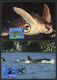 GIBRALTAR (2024) Carte S Maximum Card S  - EUROPA 2024 Underwater Fauna & Flora, Loggerhead Sea Turtle, Caretta, Orca - Gibraltar