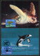 GIBRALTAR (2024) Carte S Maximum Card S  - EUROPA 2024 Underwater Fauna & Flora, Loggerhead Sea Turtle, Caretta, Orca - Gibraltar