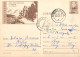 Postal Stationery Postcard Romania ADAS Asigurare - Roumanie