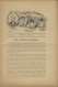 Liebig Bilder Zeitung Reklame Dreser Heft 8, Jhrg. 12, 1907 - Advertising