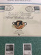 Collection De 16 Souvenirs  Dans Un Album DAVO LUXE 1991-1999 Sans Timbres - Souvenir Cards - Joint Issues [HK]