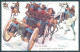 Artist Signed Schoenpflug F. Army Soldier Horse B.K.W.I. 441-6 Postcard HR2480 - Autres & Non Classés