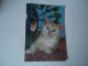 GREECE  POSTCARDS ANIMALS CAT CATS - Cats