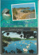 Delcampe - LOT DE 40 CARTES POSTALE CPM DE BRETAGNE DIVERS TOUTES SCANNEES - 5 - 99 Postales