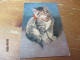 Fantasiekaart Katten - Cats