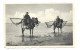 Westende Pferd Paard Horse Cheval Garnaalvissers Pêcheurs De Crevettes Briefstempel 1954 Westende Htje - Westende