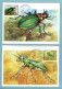 Carte Maximum Monaco 1987 - Faune - Insectes Du Parc National Du Mercantour - YT 1567 à 1572 - Cartes-Maximum (CM)