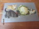 Fantasiekaart Katten - Cats