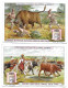 S 503, Liebig 6 Cards, Races Bovines - Liebig