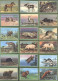 13801504 - Sammelbilder Lot Mit 19 Div - Briefmarken (Abbildungen)