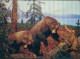 3D LENTICULAIRE POSTCARD 1970s - BEARS - PUB. BY STUDIO AG  (TEM474) - Stereoscope Cards