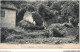 AAJP6-16-0503 - Environs De Mansle - Ruines Du Moulin De Baudan - Mansle