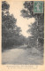 91-MORSANG SUR ORGE-PARC BEAUSEJOUR-N°6031-F/0091 - Morsang Sur Orge