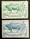 1946 CAMEROUN - GARDIEN ET ZÉBU - NEUF - Unused Stamps