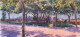 Parco Pubblico 1900 "Public Park" - Oils