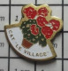 1618B Pin's Pins / Beau Et Rare : AUTRES / POT DE GERANIUMS ? CAT LE VILLAGE CENTRE D'AIDE PAR LE TRAVAIL - Sonstige & Ohne Zuordnung