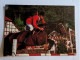 CP -  Hippisme Saut D'obstacle - Ippica