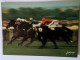 CP -  Hippisme Turf 3 Édition Feeling - Ippica