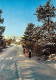 05 - Ancelle - Une Vue Du Village - Hiver - Neige - CPM - Voir Scans Recto-Verso - Autres & Non Classés