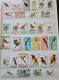 Delcampe - Collection De Timbres Sur Le Thème Des Oiseaux. - Collections (sans Albums)