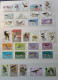 Delcampe - Collection De Timbres Sur Le Thème Des Oiseaux. - Collections (sans Albums)