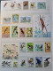 Delcampe - Collection De Timbres Sur Le Thème Des Oiseaux. - Collections (without Album)