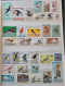 Delcampe - Collection De Timbres Sur Le Thème Des Oiseaux. - Collections (sans Albums)