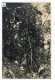 Rare Carte Photo. Mexique. Plantation De Café De San Patricio. Défrichement Au Tecolote.  (029) - Landwirtschaftl. Anbau