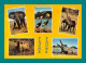 Faune Africaine ( éléphant, Lion, Crocodile ) Oblitération Pointe Noire Congo 1978 - Elefantes