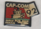 Lot 12 Pin's  Telefleurs - Cuisinés Du Jour - CapCom - Chauss Land - CT Goya - ATM - Saupiquet - La Bresse - Seznec - Sets