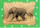 Carte De Voeux Pain Et Eau Pour L'Afrique - Éléphanteau - Elephants