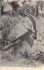 Tanganyika - Nice Specimen Of Antelope - Publ. Missions Des Pères Du Saint-Esprit  - Tansania