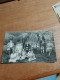 559 //  CARTE ANCIENNE / PHOTO DE FAMILLE EN PLEIN AIR - Non Classés