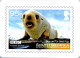 21-4-2024 (2 Z 36) Antarctic Stamp Reproduction (on Mini-calender) X 2 (different) - Postzegels (afbeeldingen)